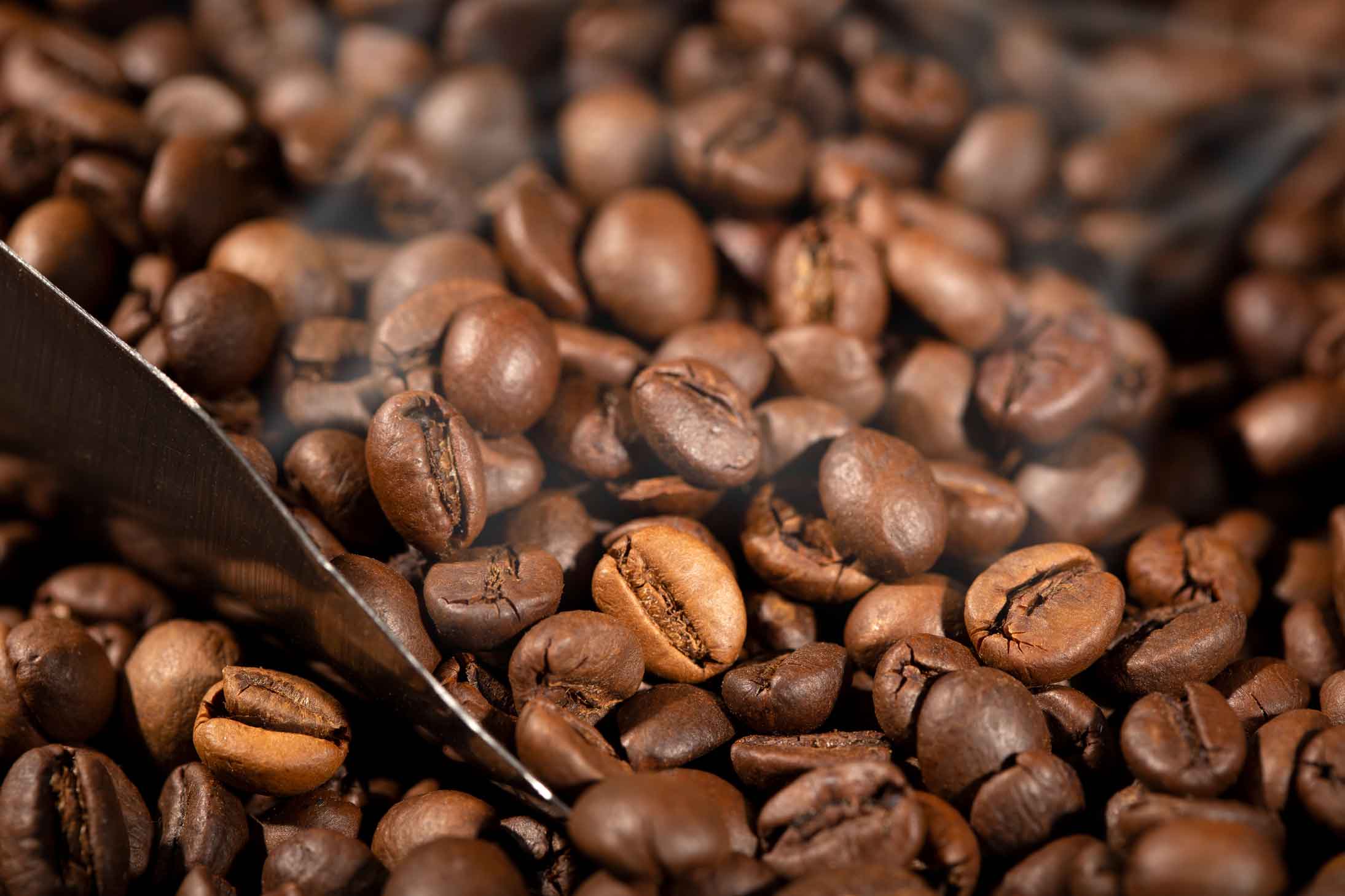mayor exportador de cafe