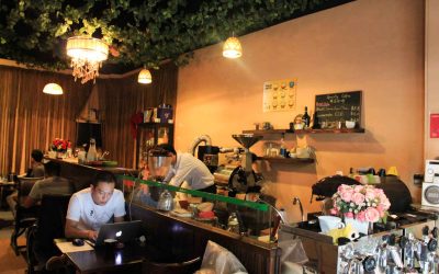Geisha Specialty Coffee
