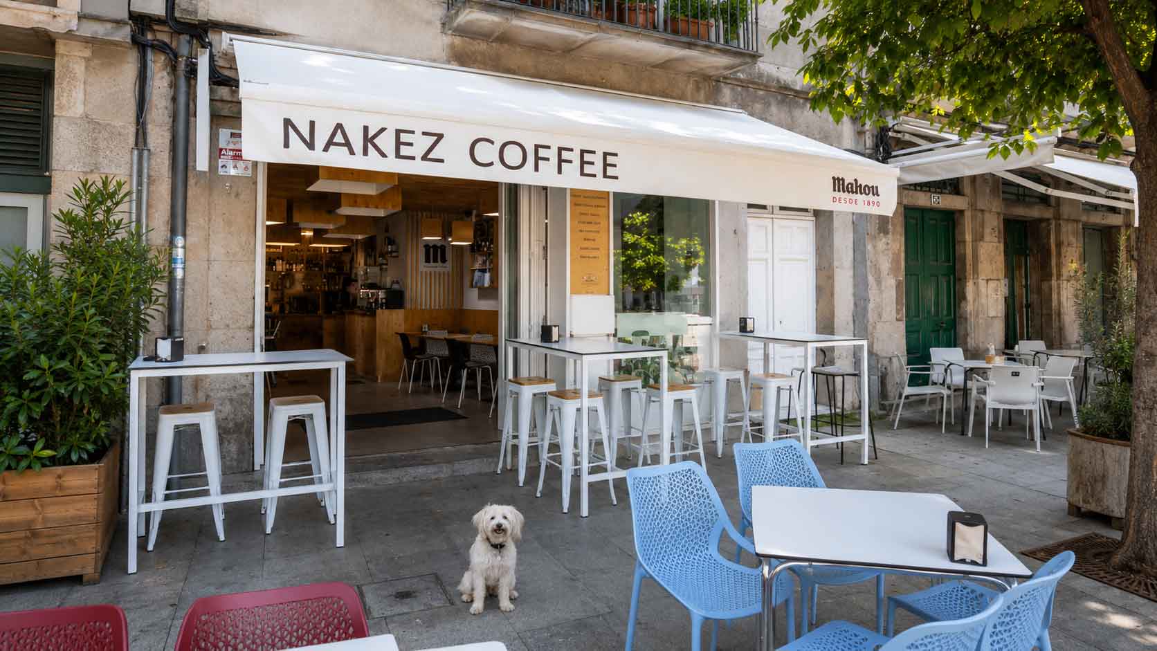 Nakez Coffee, cafetería para descubrir Café especialidad Vigo