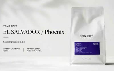 TOMA CAFÉ | El Salvador Phoenix
